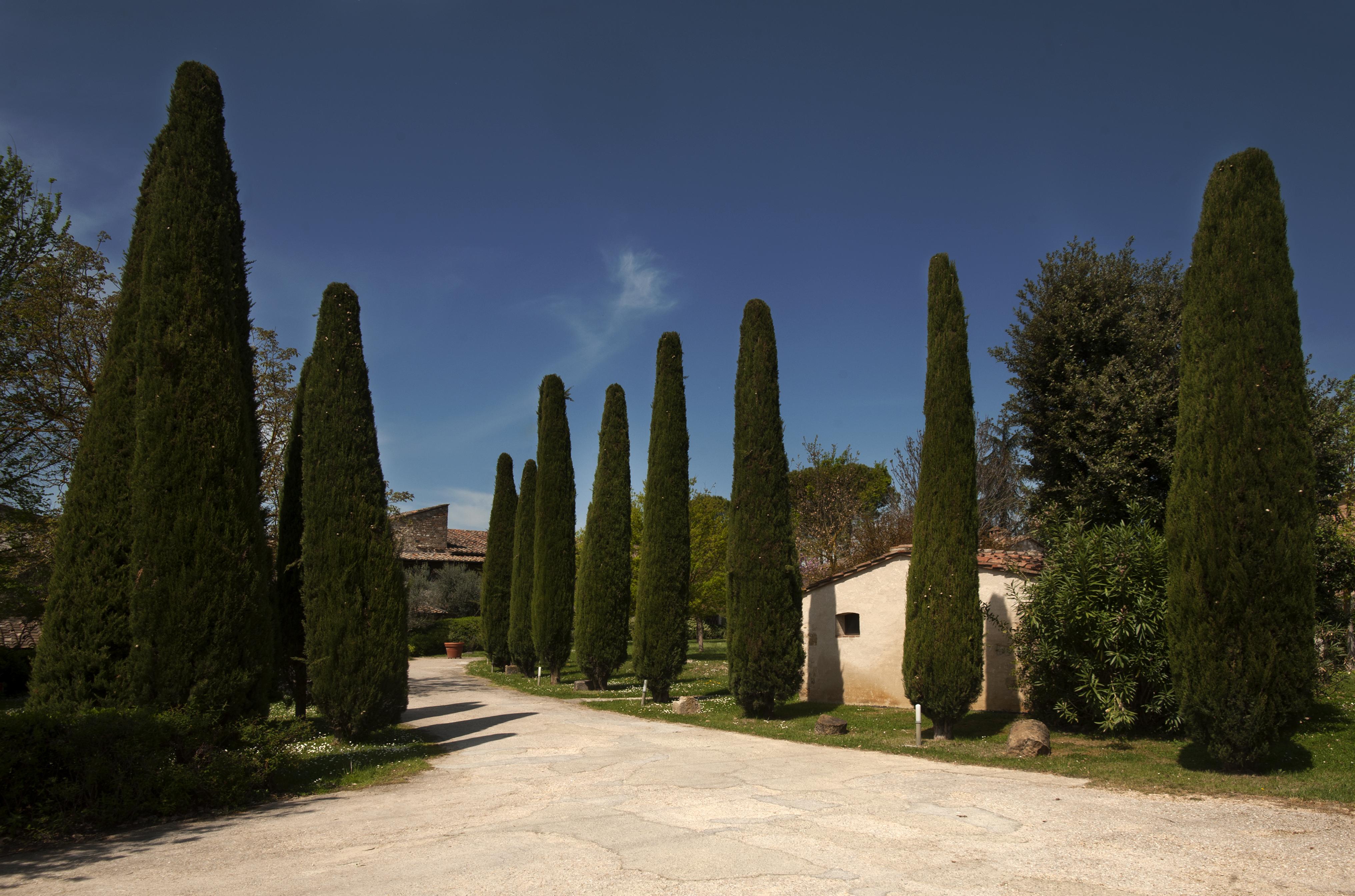 Relais Della Rovere Colle Val D'Elsa Exterior photo